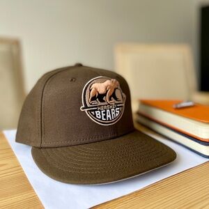Hershey Bears AHL 59FIFTY Fitted Cap in Brown